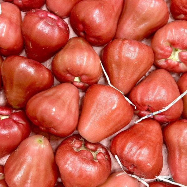 爆甜!黑珍珠蓮霧! 