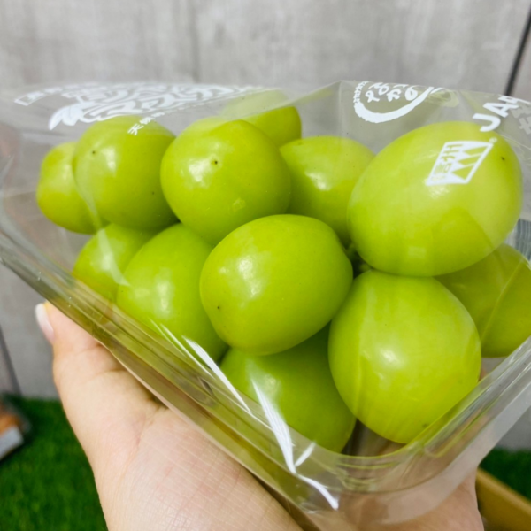 PC盒 長野麝香葡萄 