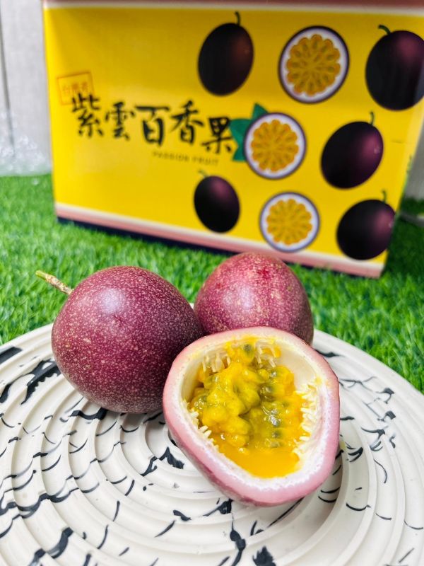 新品種-紫雲糖蜜百香果 