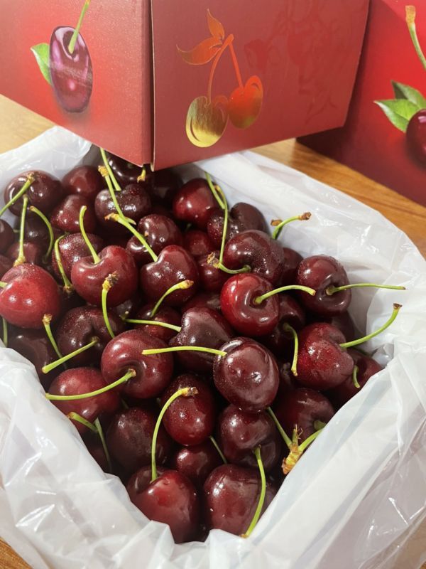 大果智利櫻桃【30mm】 