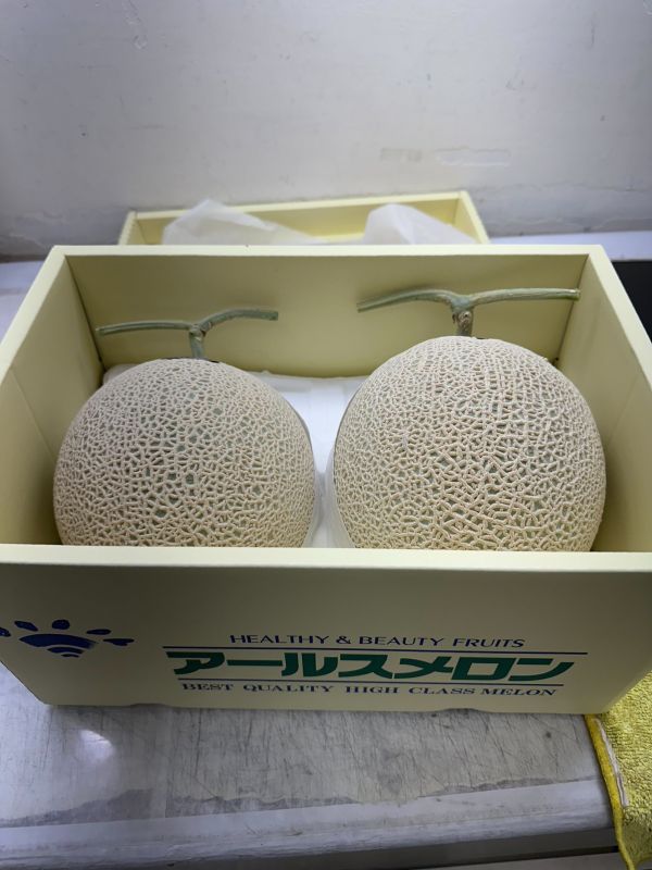 日本福井哈密瓜 