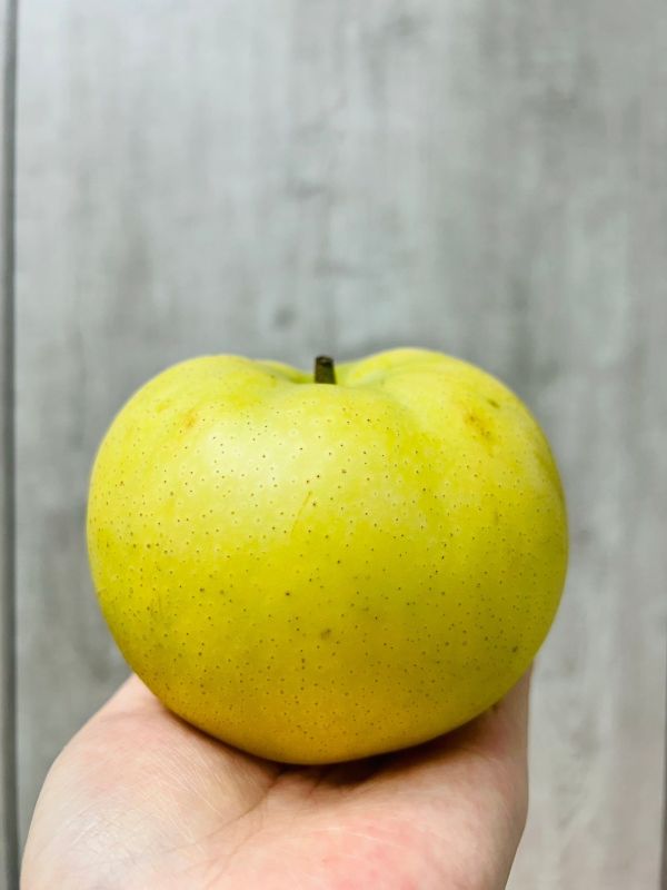 【雙十優惠】<當日配送>日本鳥取梨(皮花) 