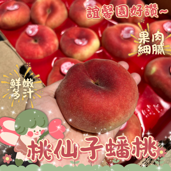 誼馨園桃仙子蟠桃 