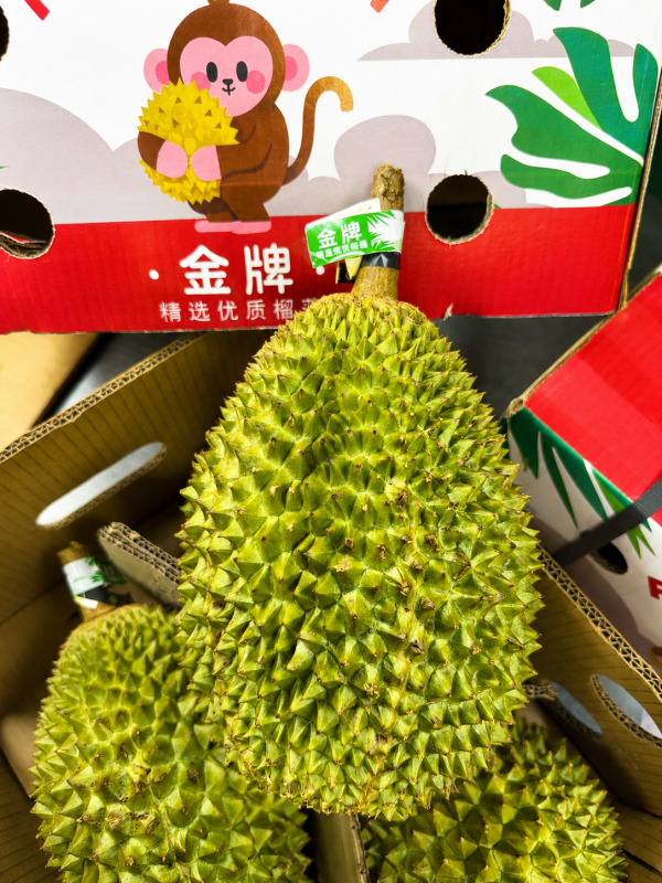 金牌貓山王榴槤 