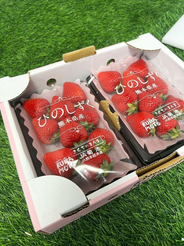 菊池小糖蜜草莓 