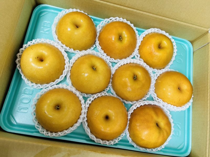 <少量零購>日本長野信洲南水梨 