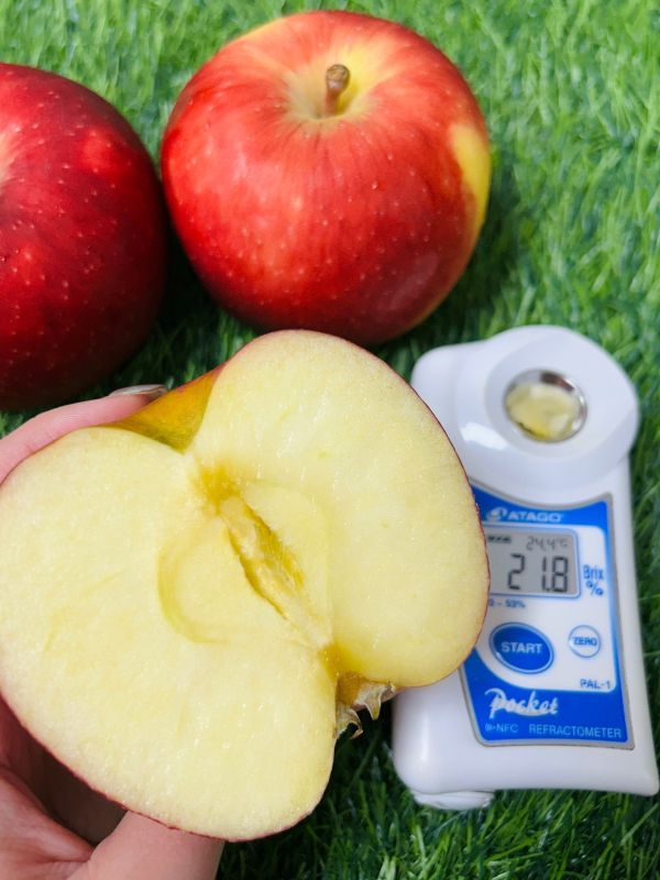 紐西蘭【Dazzel閃耀】脆甜蘋果 