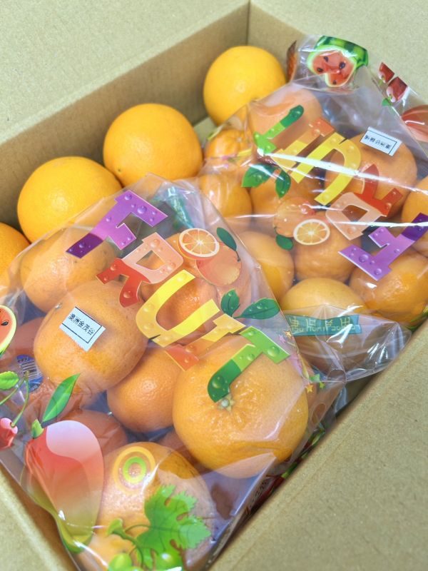 柑橘優惠箱 