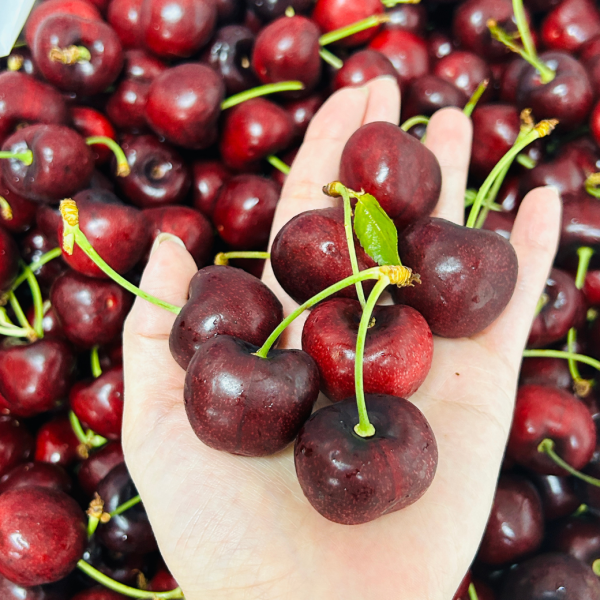 加州黑箱9R櫻桃2公斤 