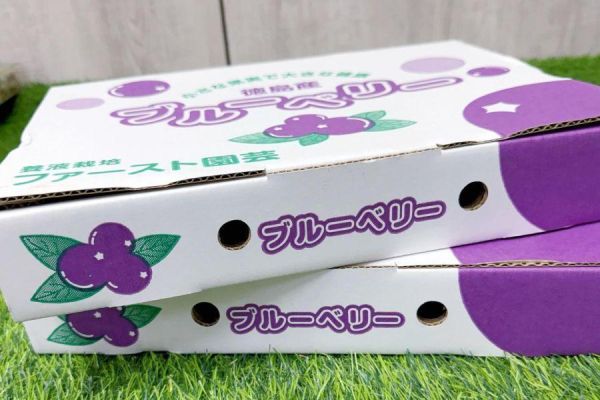 <少量零購>日本德島藍莓 