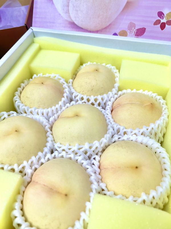 【稀有】日本岡山白桃 