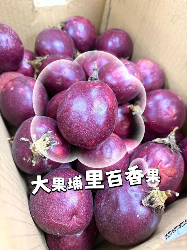 埔里吊網百香果(大果) 