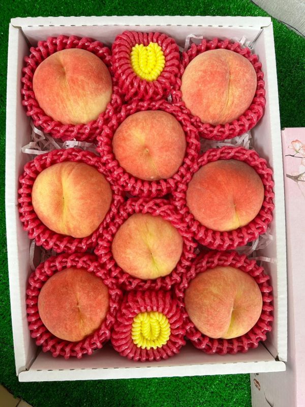 日本山形水蜜桃 