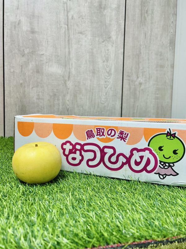 日本鳥取梨 