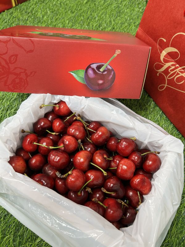 紐西蘭亞尼士櫻桃【30mm】 