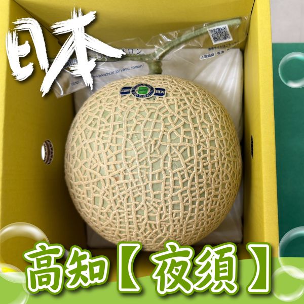 高知【夜須】青肉哈密瓜! 