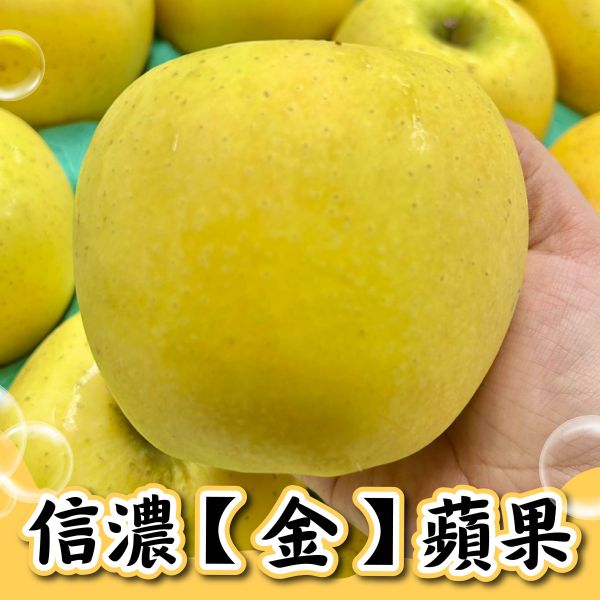 青森【信濃金】蘋果 