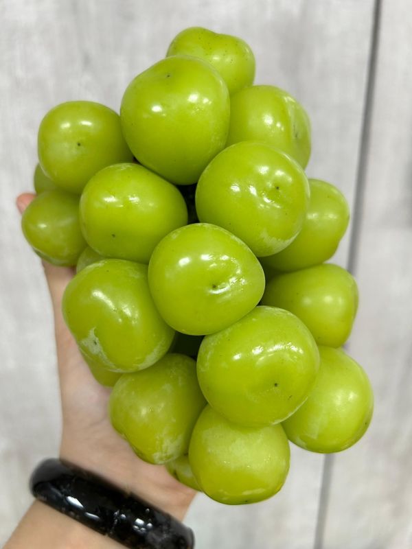 韓國麝香葡萄(5房大果) 
