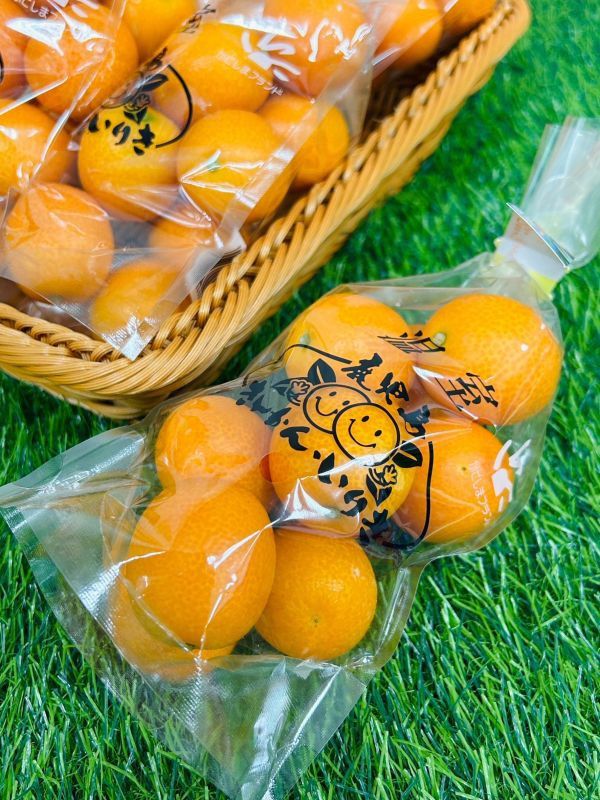 <少量零購>日本鹿兒島金桔 