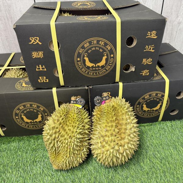 雙獅牌金枕頭 