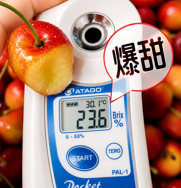 <少量零購>【限量】9R草莓白櫻桃 