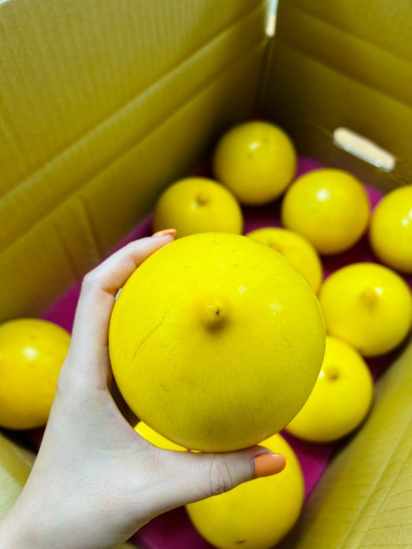 <少量零購>膠原蛋白黃金果(優惠中) 