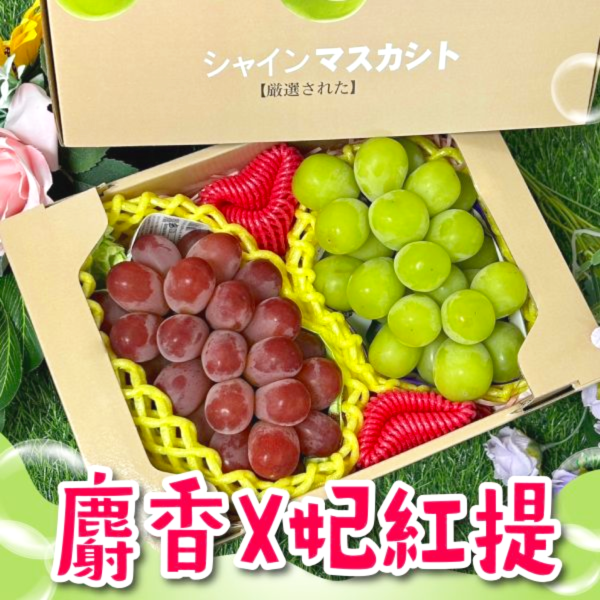 <精緻禮盒>日本麝香+妃紅緹雙拼 