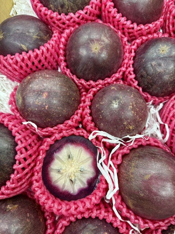 <少量零購>國產牛奶果 