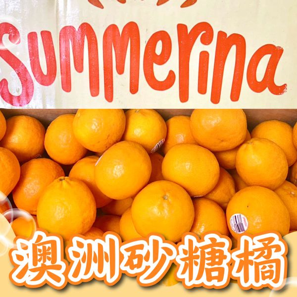 澳洲砂糖橘 