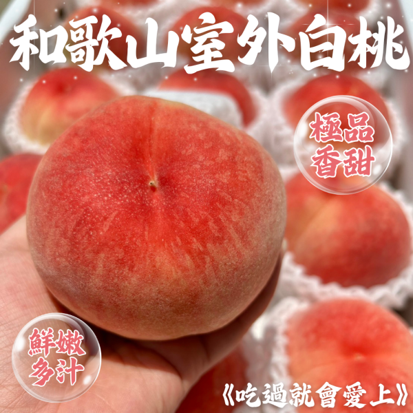 日本和歌山水蜜桃 