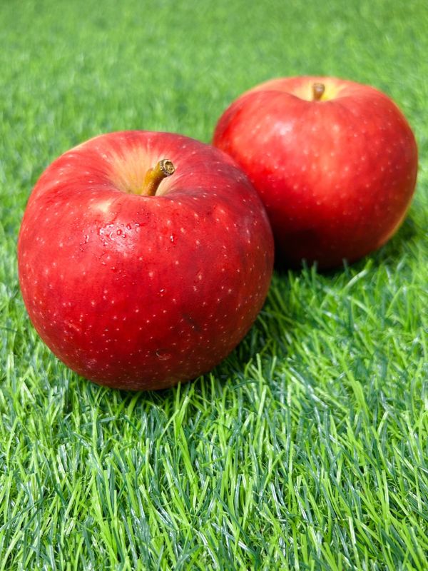 紐西蘭【Dazzel閃耀】脆甜蘋果 