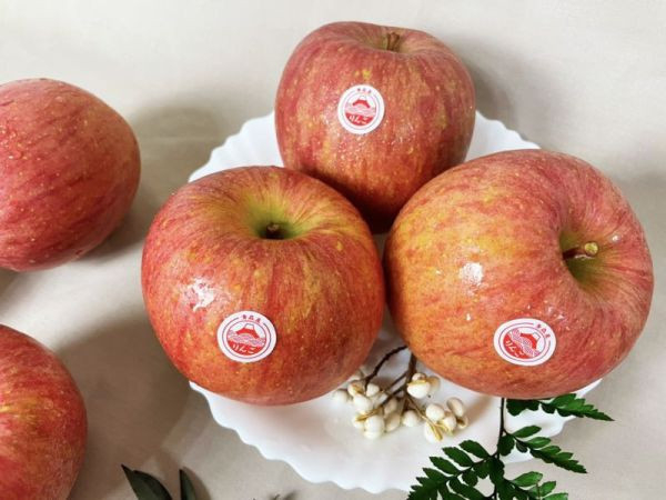 <少量零購>日本青森蜜富士蘋果 