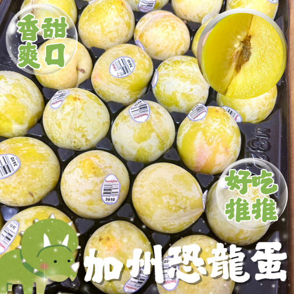 美國加州蜜李恐龍蛋 