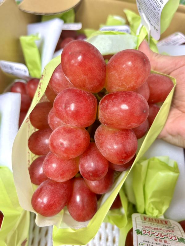 日本長野妃紅緹紅葡萄 