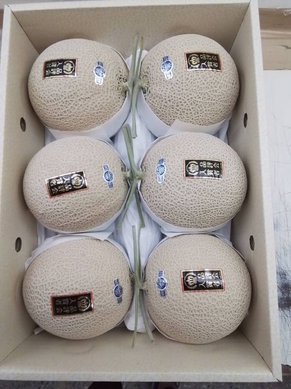 【頂級】日本靜岡黑標哈密瓜(預購) 