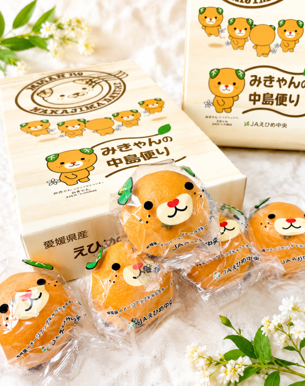日本愛媛卡通蜜柑禮盒 