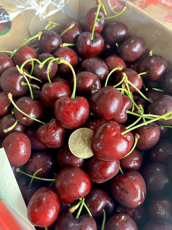 【32mm】智利<吉制櫻桃> 