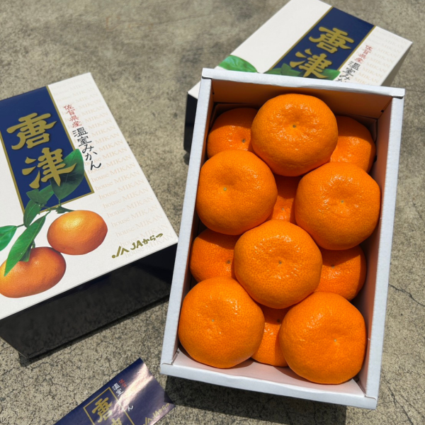 就柑心~日本唐津蜜柑禮盒 