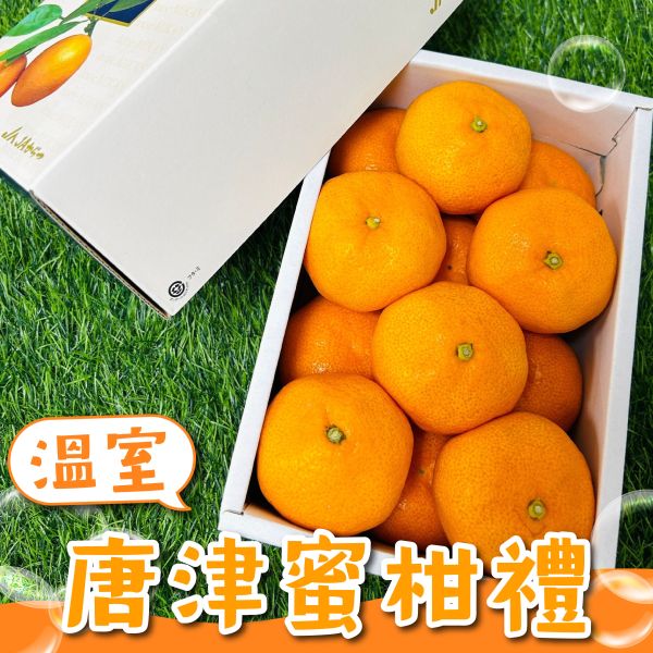 就柑心~日本唐津蜜柑禮盒 