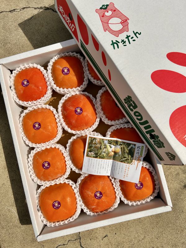 紀之川-和歌山黑糖甜柿 