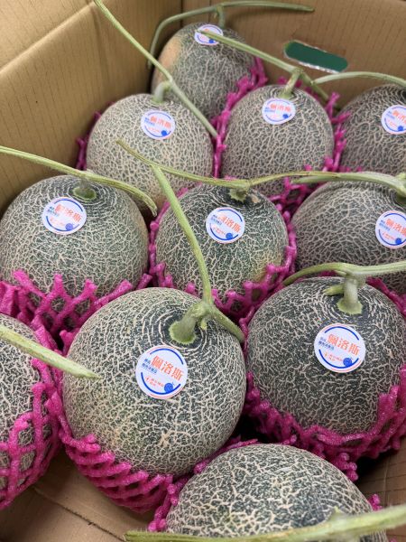 佩洛斯紅肉哈密瓜 