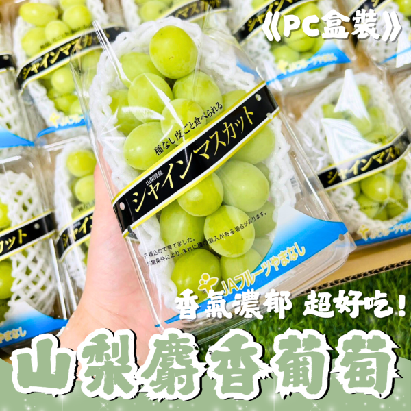 【限定優惠】<當日配送> PC盒 【山梨麝香】葡萄 