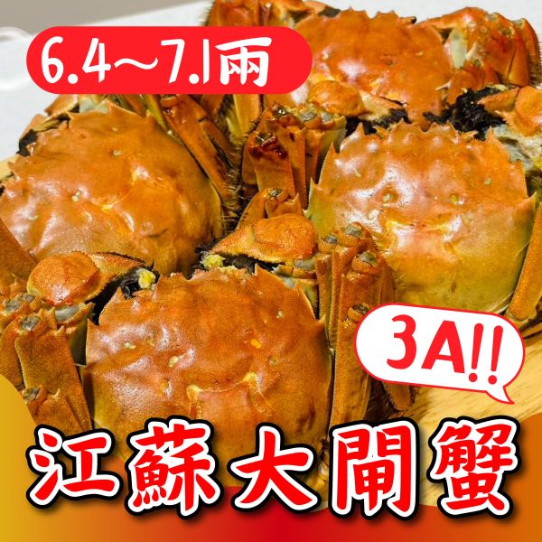 <3A巨無霸>江蘇大閘蟹【6.4~7.1兩】 