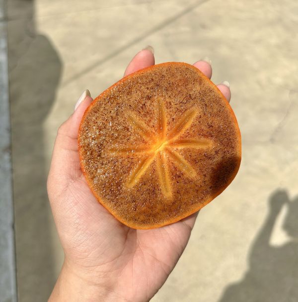 紀之川-和歌山黑糖甜柿 