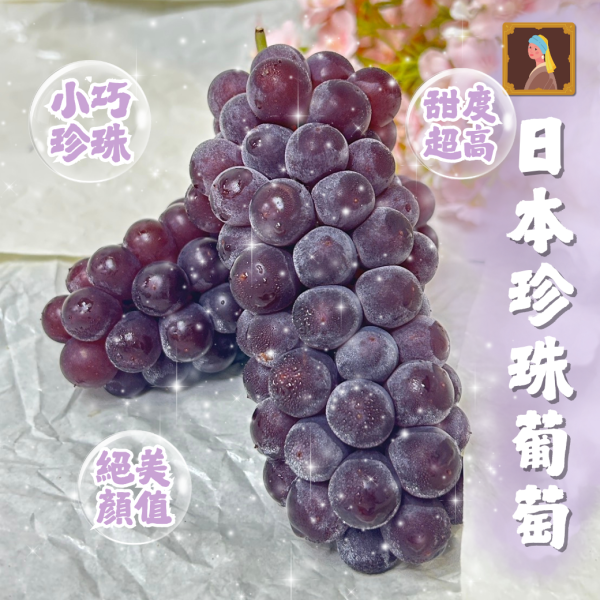 日本珍珠葡萄 