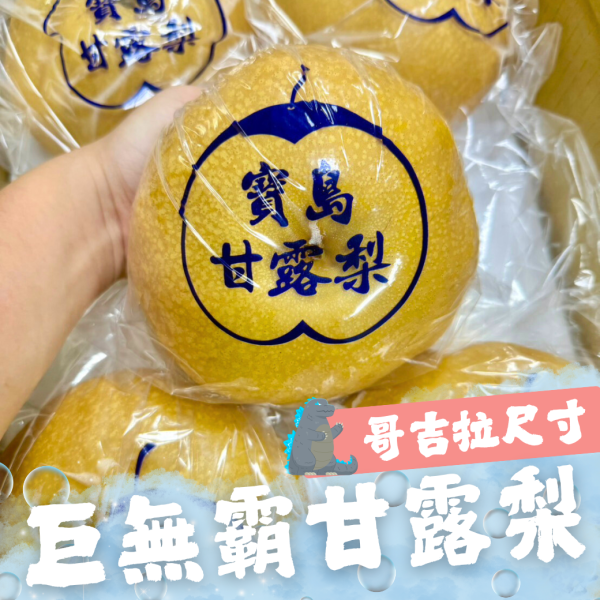 <巨無霸>嚴選寶島甘露梨 
