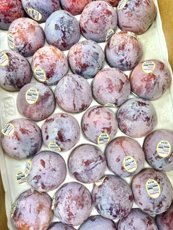 加州蜜李鴕鳥蛋 