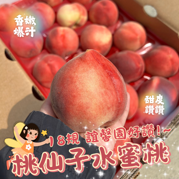 【18規】誼馨園桃仙子水蜜桃 