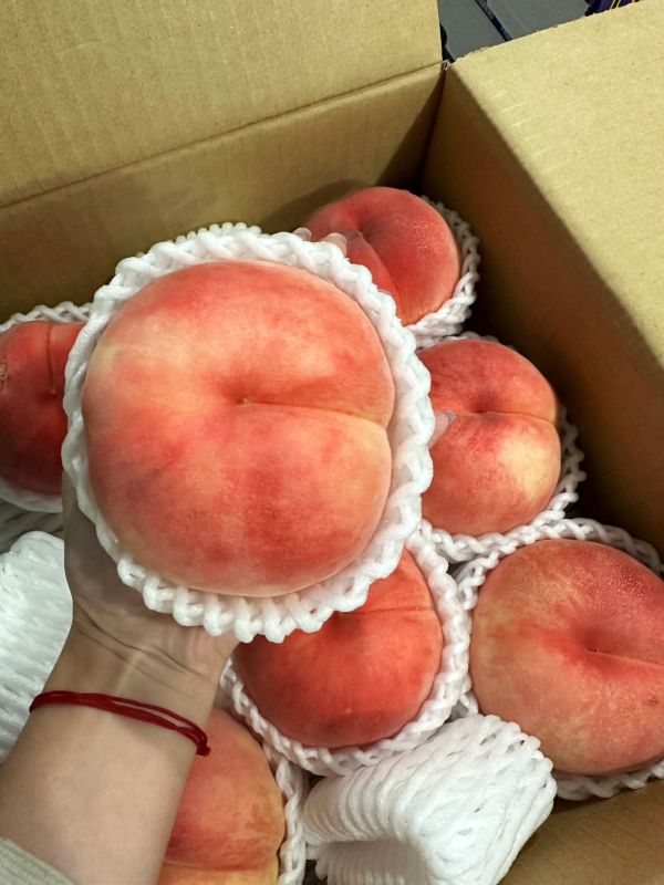 <少量零購>日本山形縣白桃 