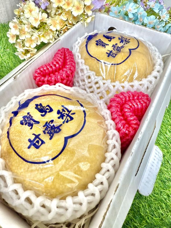 <中秋熱銷>巨無霸甘露梨2入手提禮 